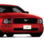 Ford Mustang Gold Logo On Stainless Steel License Plate