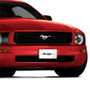 Ford Mustang Script Name On Polished License Plate