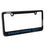 Ford Mustang GT in Blue Black Real Carbon Fiber License Plate Frame by iPick Image, Made in USA