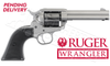 Ruger Wrangler Single-Action Revolver in Silver Cerakote 22LR #2003