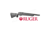 Ruger 10/22 TakeDown Lite #21152