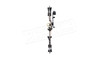 Bear Archery Legit MAXX RTH 70 RH Compound Bow, Mossy Oak Roots #AV54A230R7R