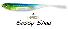 LunkerHunt Bento Bait Minnow - 3