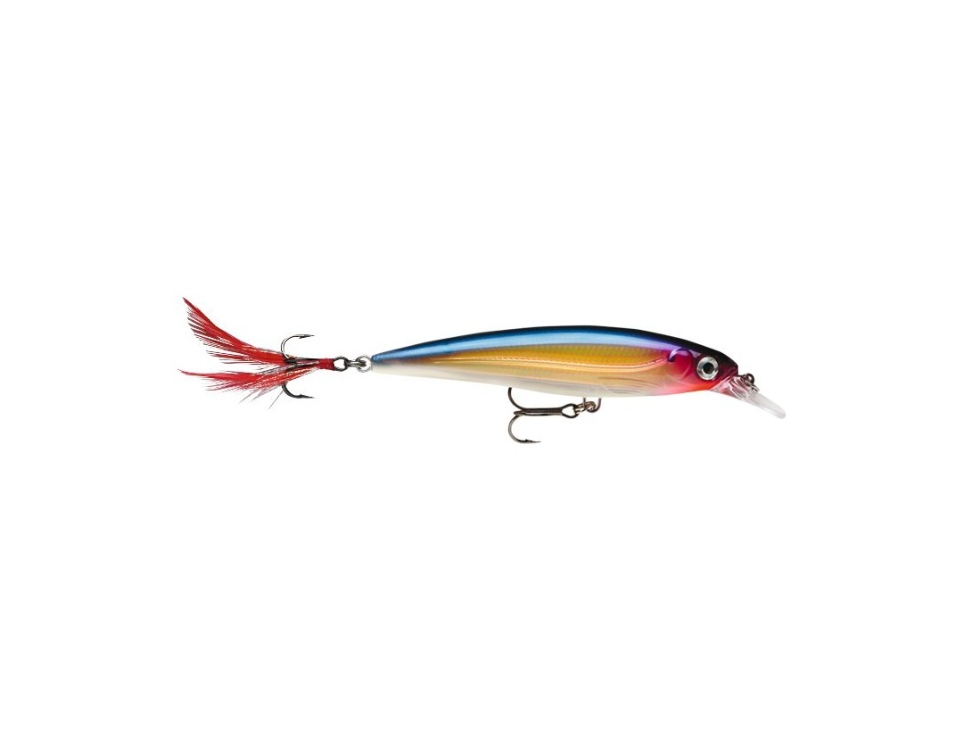 Rapala X-Rap XR10 - 4
