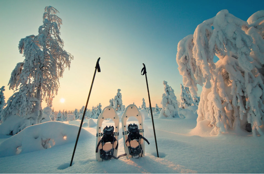 Top 3 Unique Winter Activities You Should Not Miss