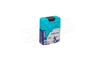 Pinnacle Ice Brick, 2 Pack 350 ML #TPX-9006