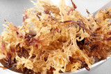 Irish Moss, The Super Nutritious Algae Weed of the Sea Irish Moss, The Super Nutritious Algae Weed of the Sea