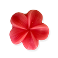 Yoni Soap 4