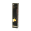 Papstar - Home Fragrance Perfume Set Refill