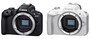 Canon EOS R50 Mirrorless Digital Camera Body Only