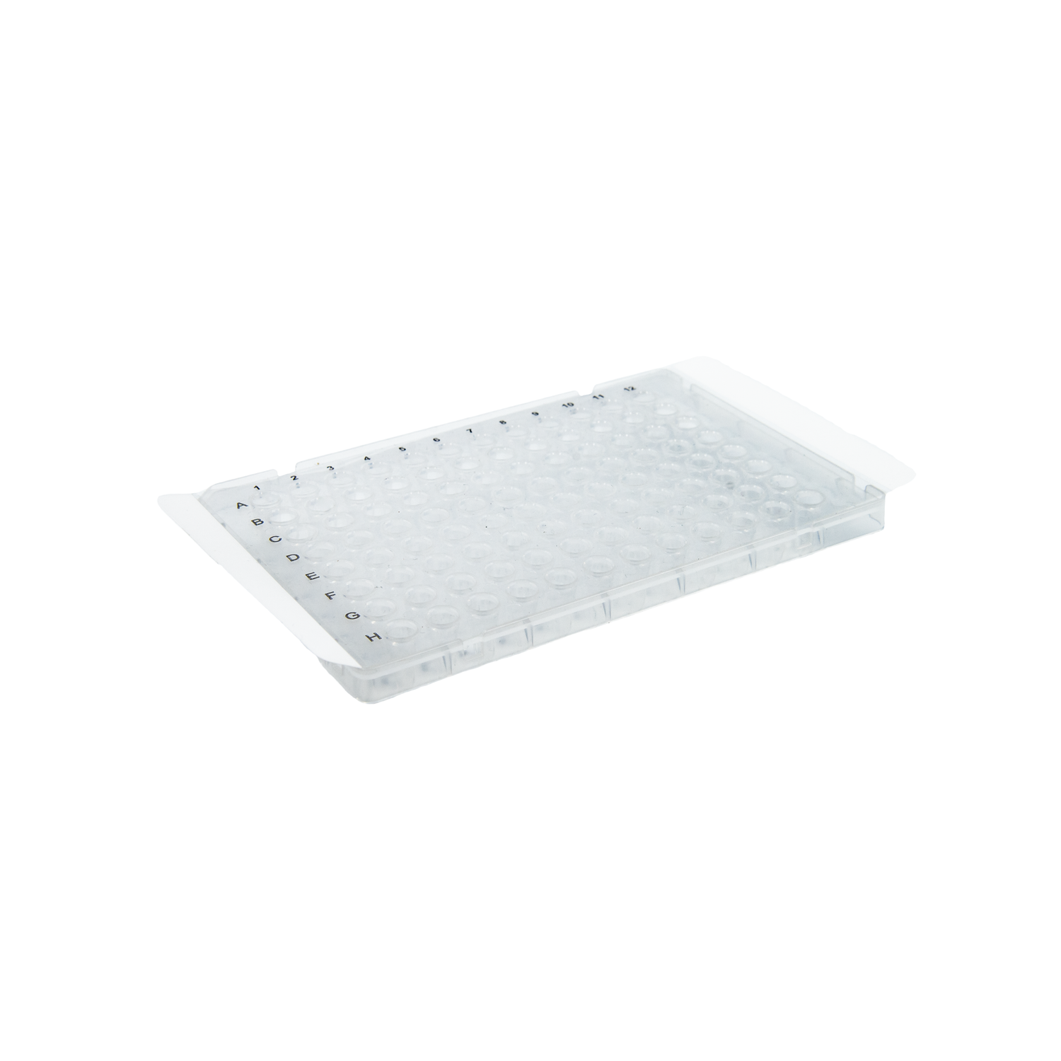 PCR Sealing Film - Extra Adhesive for Thermal Cycling - Clear - 146mm x 81mm