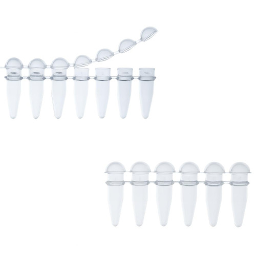 0.2mL PCR 8-Tube Strip with Separate Domed Top 8-Cap