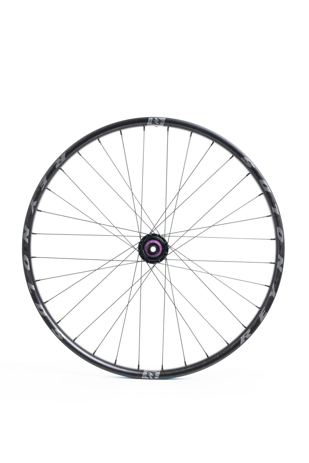 Blacklabel 309 DH Expert 29