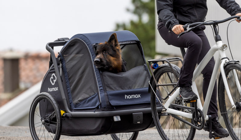 Why Use a Pet Carrier and What Are The Best to Buy? 