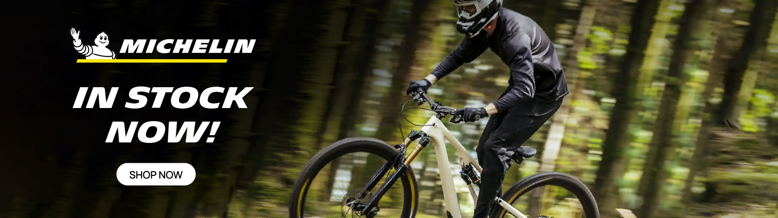 BikeChain - Michelin December In Stock