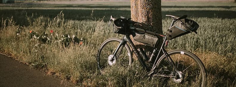 A bike equipped with bikepacking bags leaning against a tree in a serene rural field at sunset.