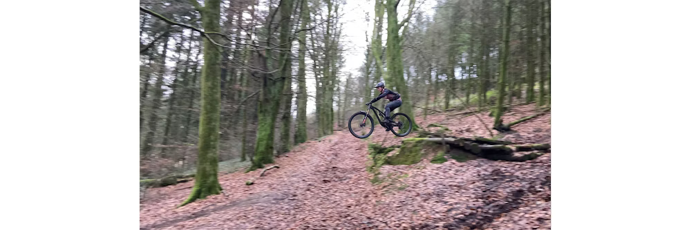 A mountain biker mid-air during a jump on a forest trail covered with leaves, surrounded by tall mossy trees.