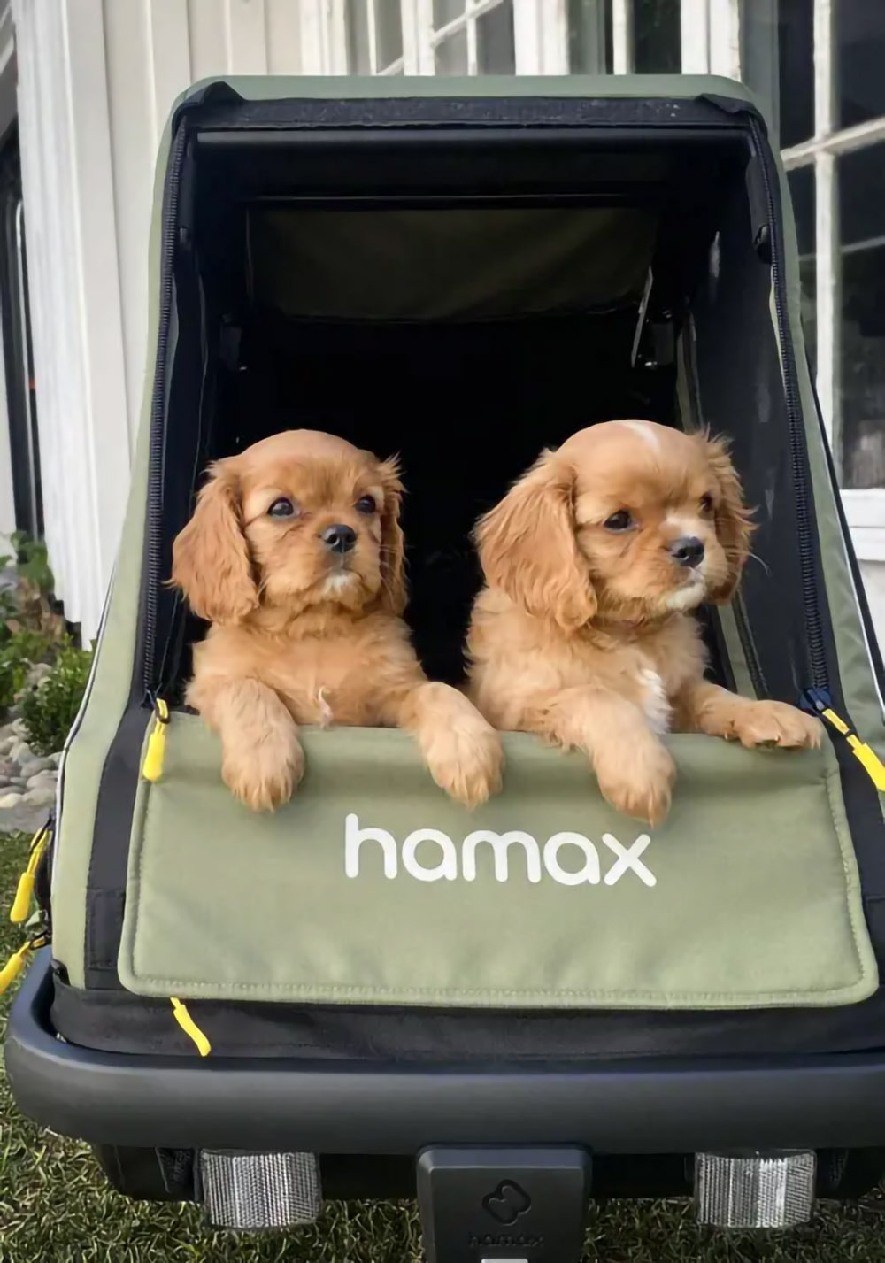 Dog relaxing inside Hamax Pluto M trailer fitted with optional dog bed accessory