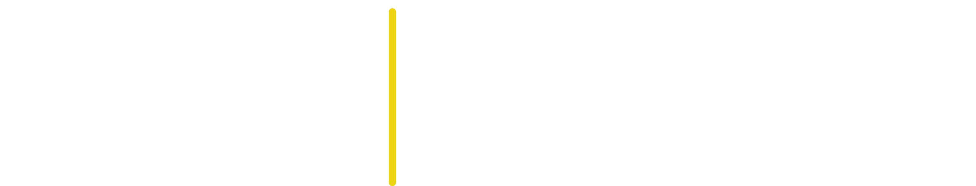 SIS Logo