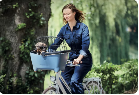 Woman cycling in a park with a small dog sitting in a blue pet basket on the front of her bike.
