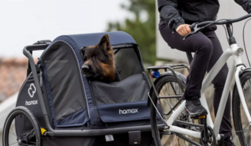 Why Use a Pet Carrier and What Are The Best to Buy? 