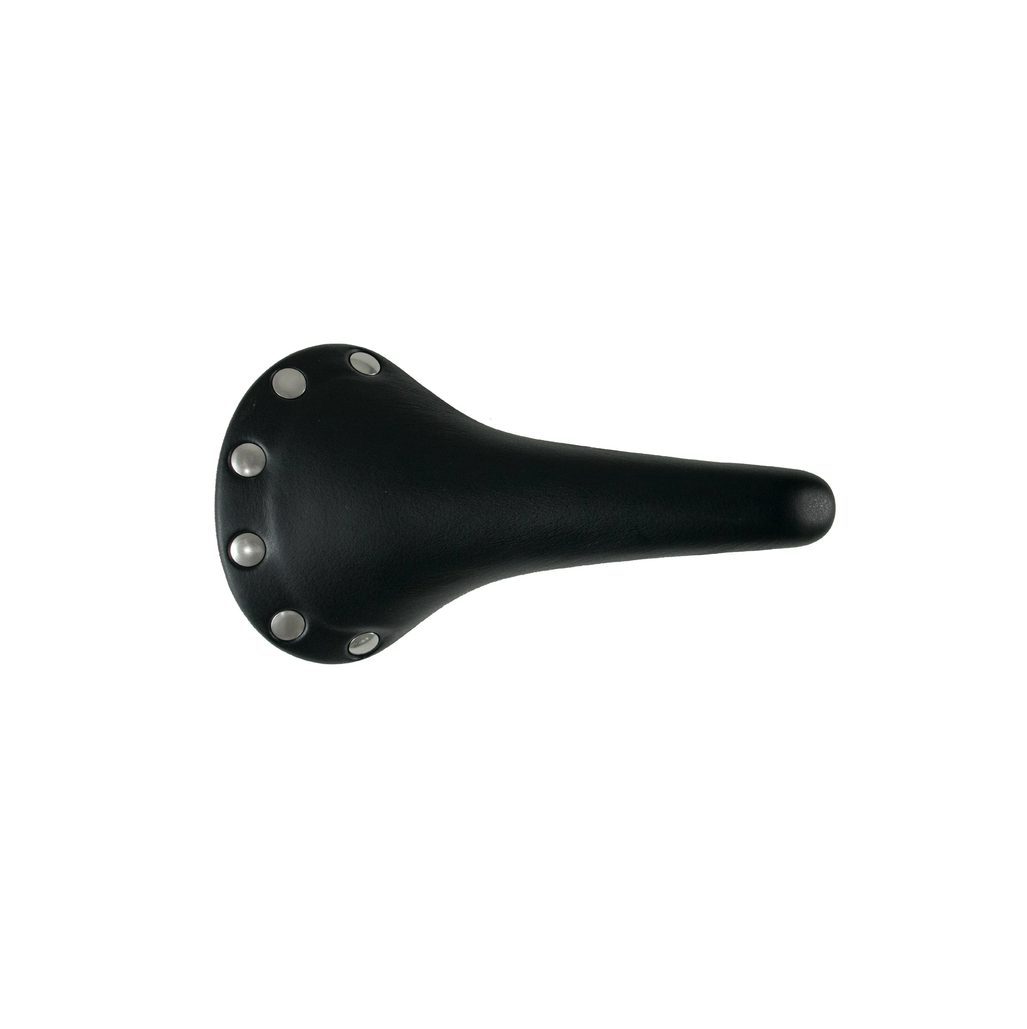 Regal Vintage Titanium Regal Vintage Titanium