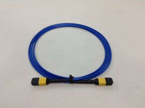 Fiber Cord - 2 Meter Elite MTP Fem - MTP Fem / 12 Fiber / SM / Blue / Pol-B / Flex Boot