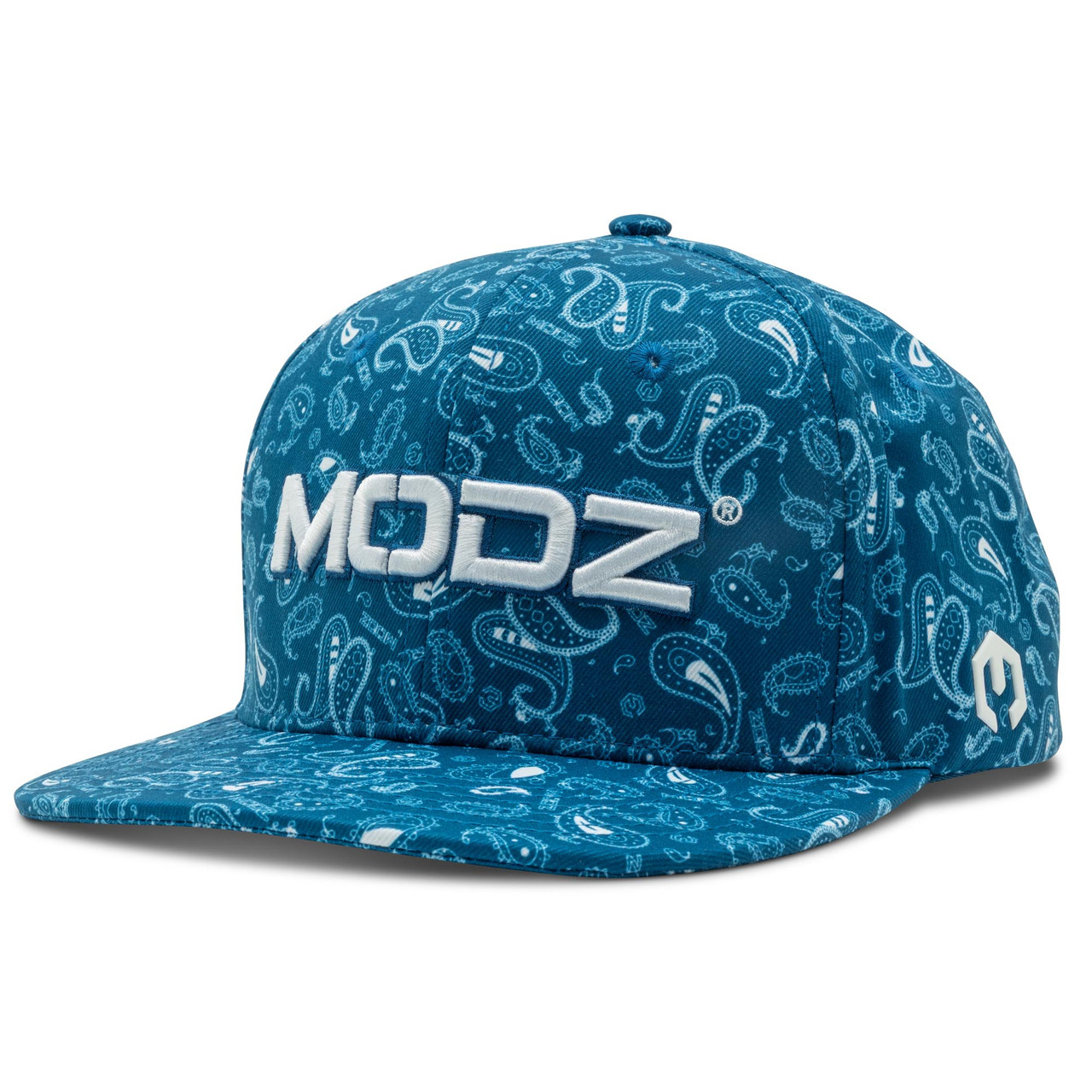 メンズウェア FR2 GOLF Original Paisley CircleLogo Cap MODZ® Blue Paisley Baseball Cap