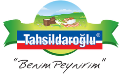 Tahsildaroglu