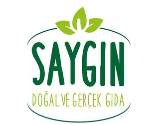 Saygin