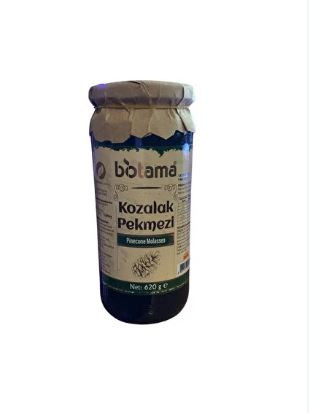BIOTAMA PINE CONE MOLASSES 620ML