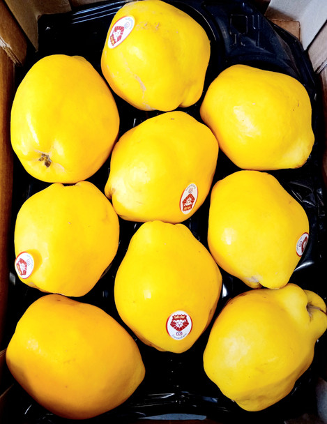 Fresh Quince from Turkey (case of 8)