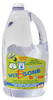 Gallon Wiz B Gone Stain and Odor Remover For Carpet and Upholstery