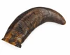 Large Water Buffalo Horns Bulk