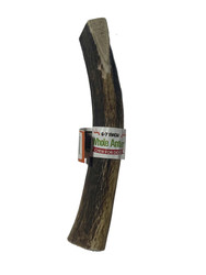 6-7 Inch Antlers Whole with Cigar Band UPC