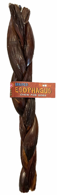 12 Inch Braided Esophagus Stick with Cigar Band