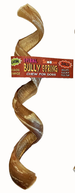 Spiral Bully Spring With Scoochie Cigar