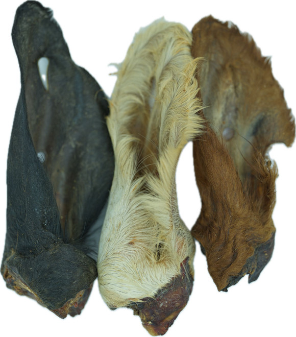 Natural Cow Ear with Hair Bulk