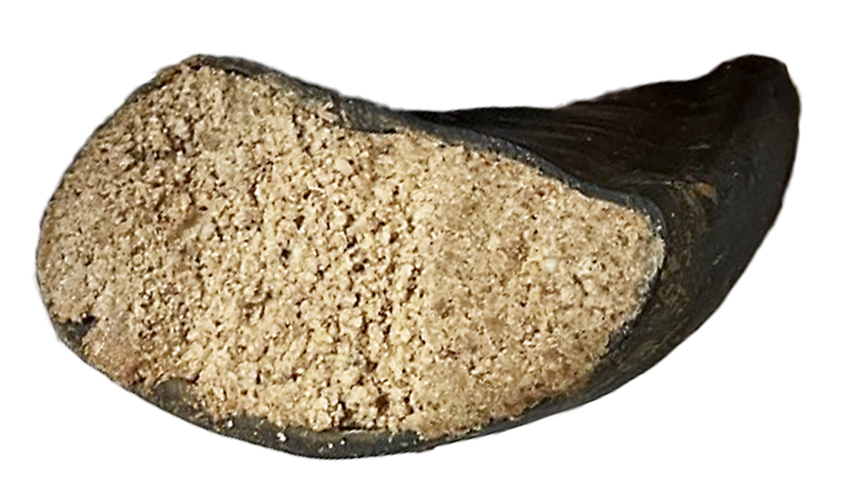 Peanut Butter Stuffed Cow Hoof