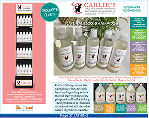 Carlies Shampoo Page 37