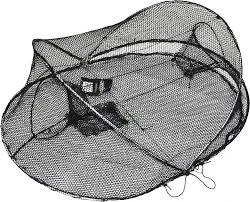 Bait Traps