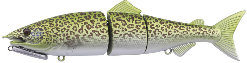 REALISTIC MURRAY COD 