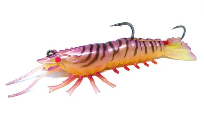 PINK EYE SHRIMP