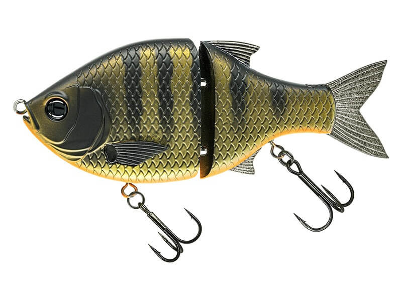 DARK GILL ORANGE BELLY