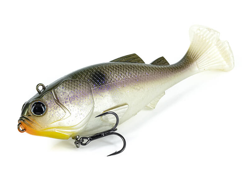 BLUEBACK HERRING