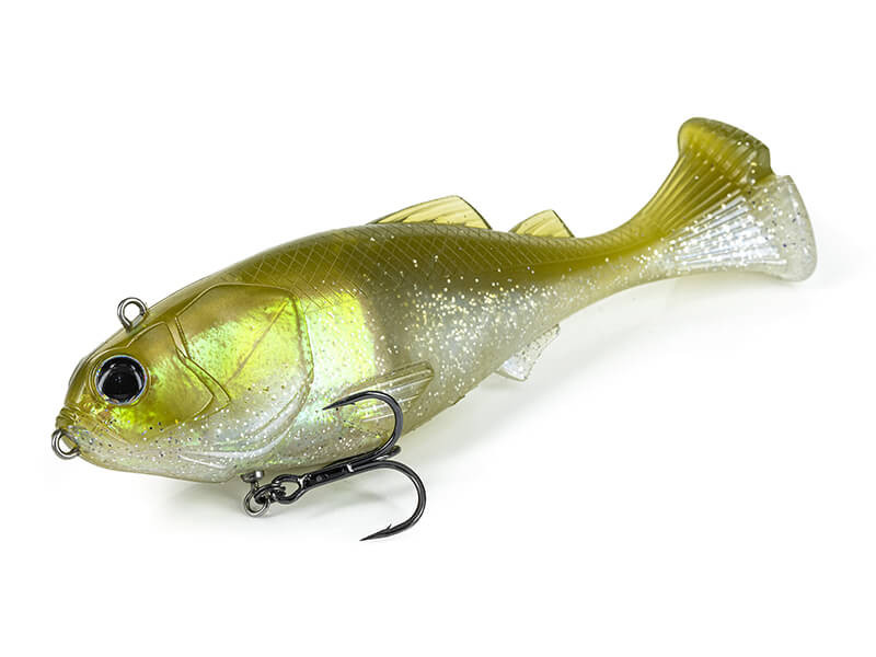 OLIVE SHAD