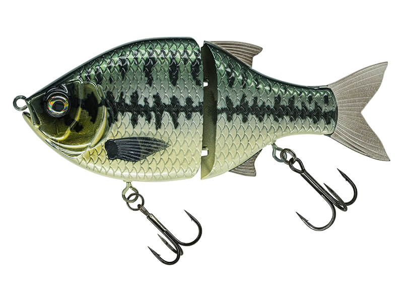BABY BASS