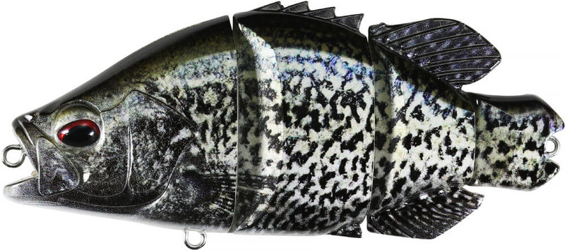 BLACK CRAPPIE 
