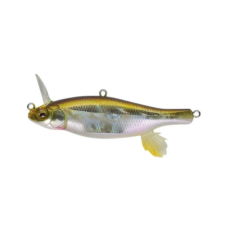 HT IL TENNESSEE SHAD