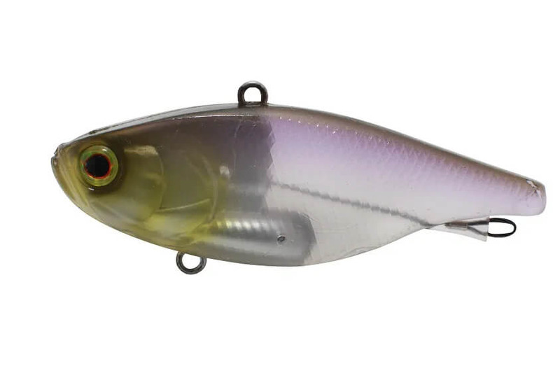 GHOST MINNOW